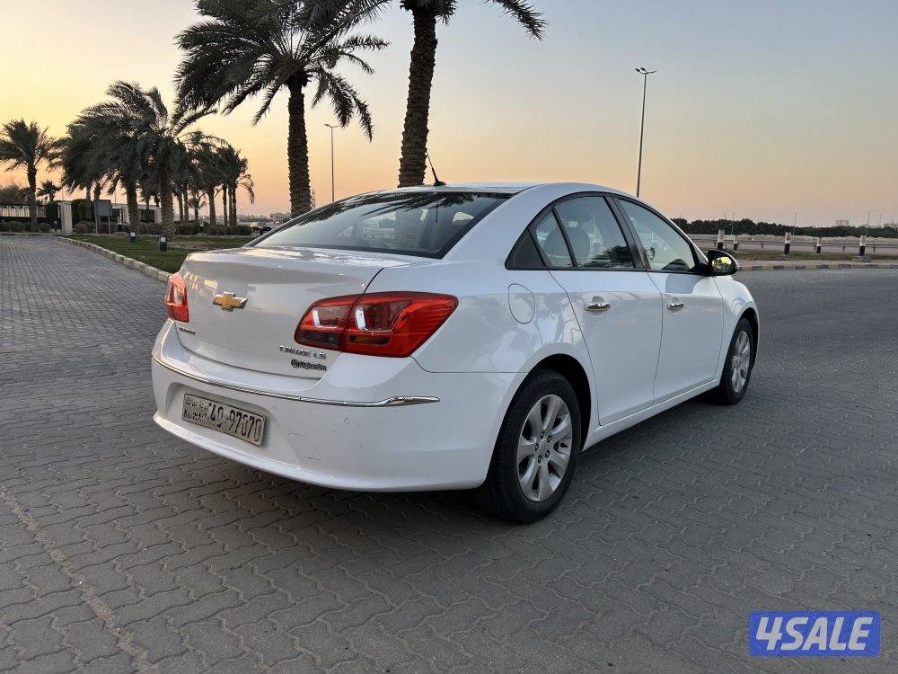 ‏المعاينة العارضية ‏الصناعية3