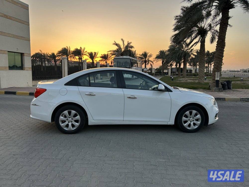 ‏المعاينة العارضية ‏الصناعية4