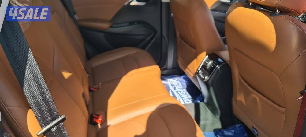 جيب صيني بورجو ارد BX7 5s سنة 20206