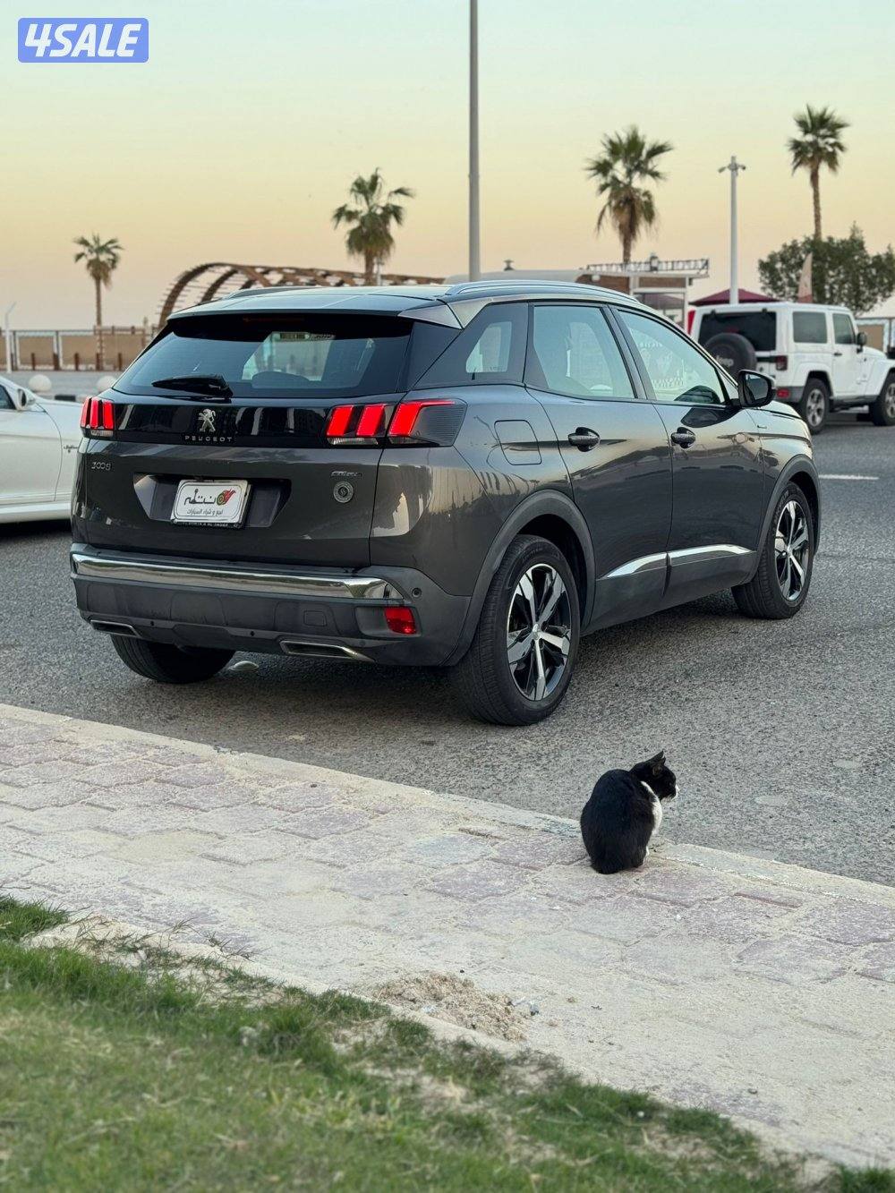 بيجو 3008 موديل 2019 / بحاله ممتازه5