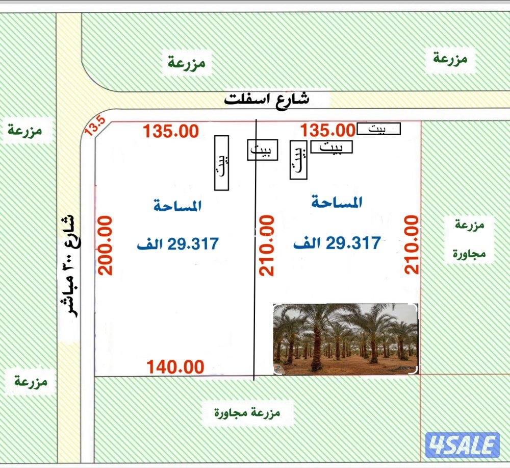 للبيع مزارع بالوفرة مساحة ٢٩ الف للجزء طريق ٣٠٠ مباشر تحويل افراد1