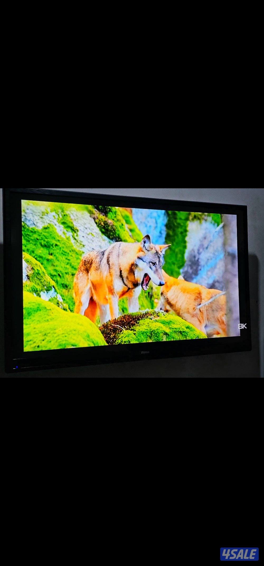 شاشة ونسا 50 بوصة مو اسمارت ٬ استخدام قليل Wansa 50-inch screen1