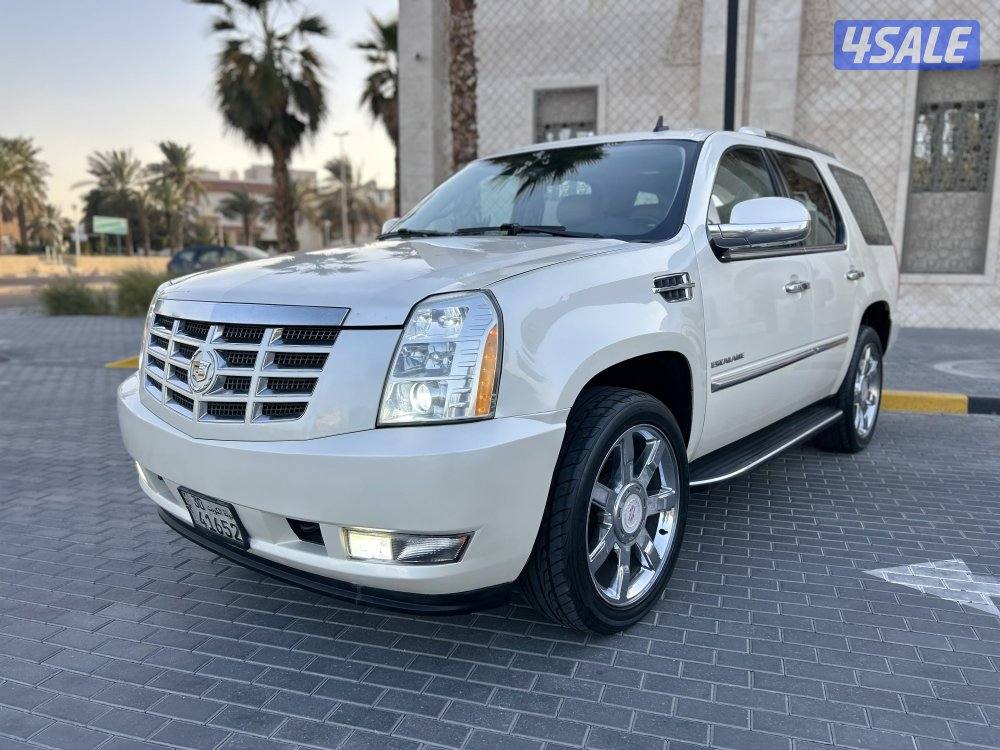 للبيع اسكاليد 20100