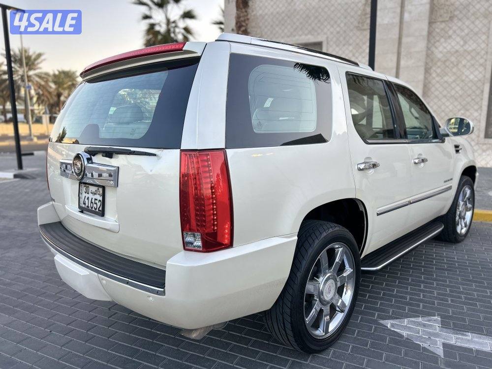 للبيع اسكاليد 20104