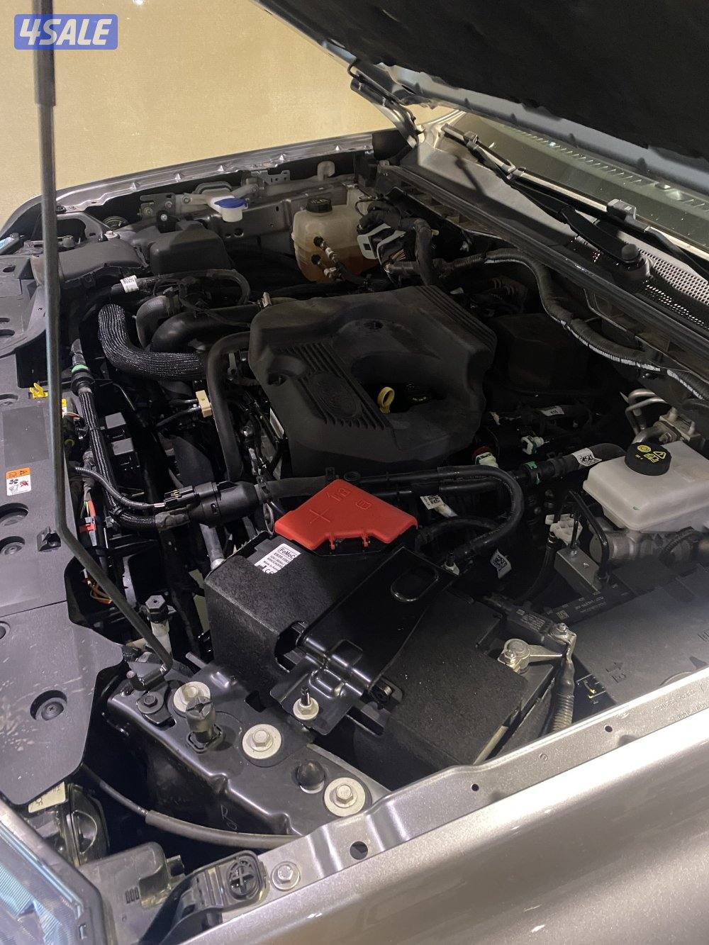 وكااااله وتحت الكفاله وتأمين شامل13