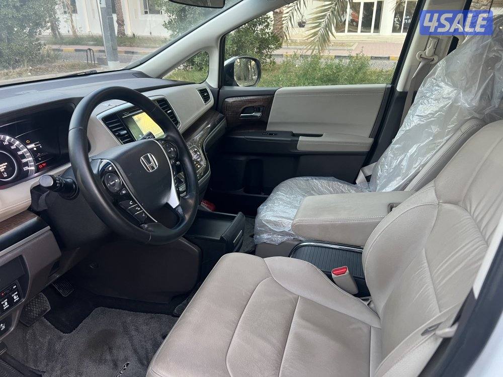 هونداء اوديسي بحاله ممتازه6