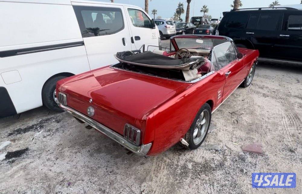 للبيع موستنغ كشف 660