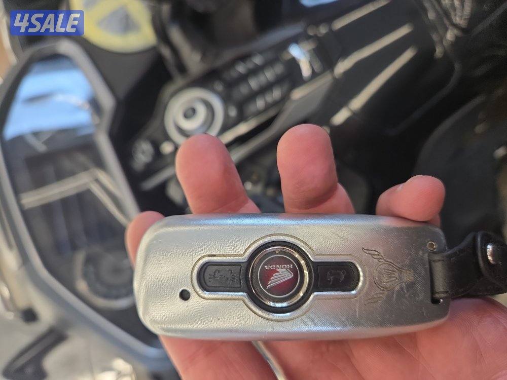 للبيع بدواعي السفر سيكل غولد وينج 201914