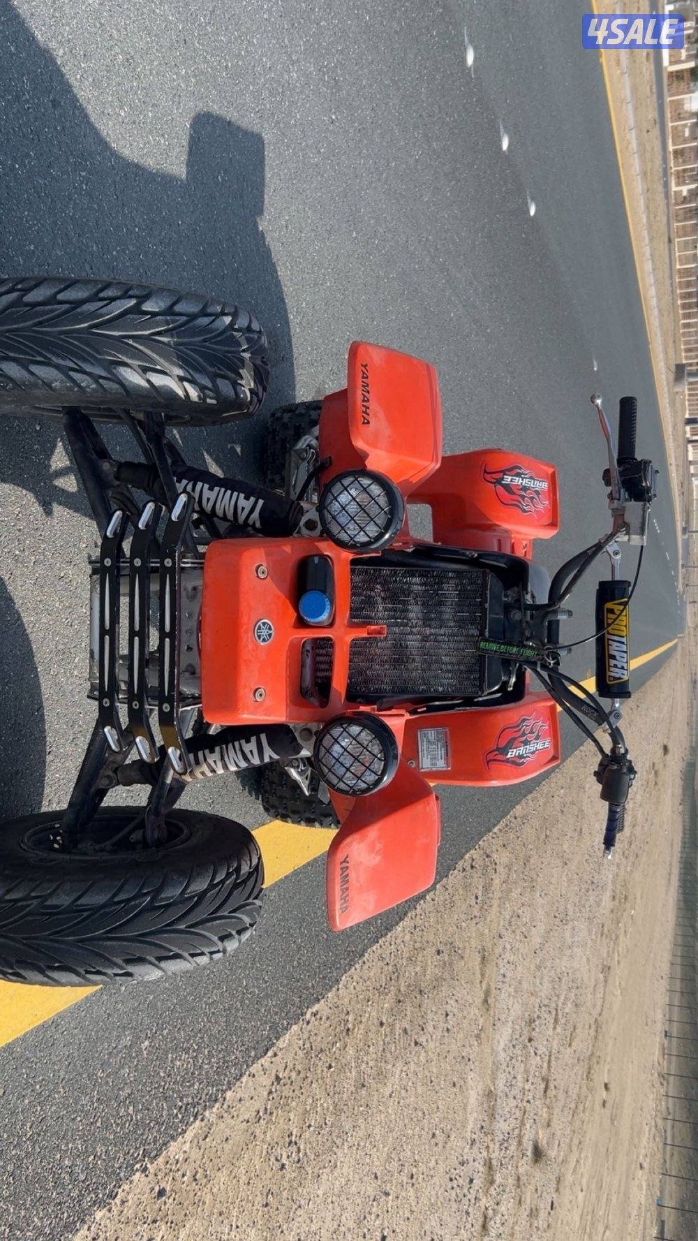 للبيع بانشي2