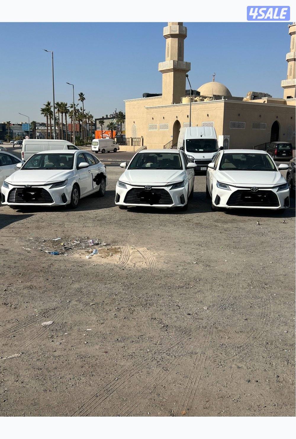 للبيع بارسات جمله او مفرد1