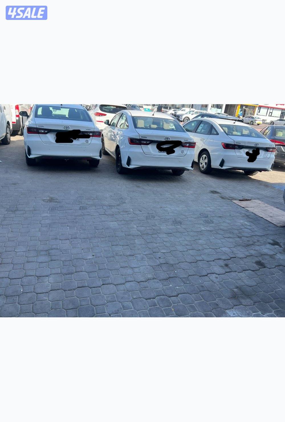 للبيع بارسات جمله او مفرد2