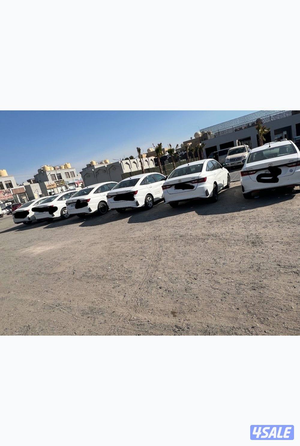 للبيع بارسات جمله او مفرد3