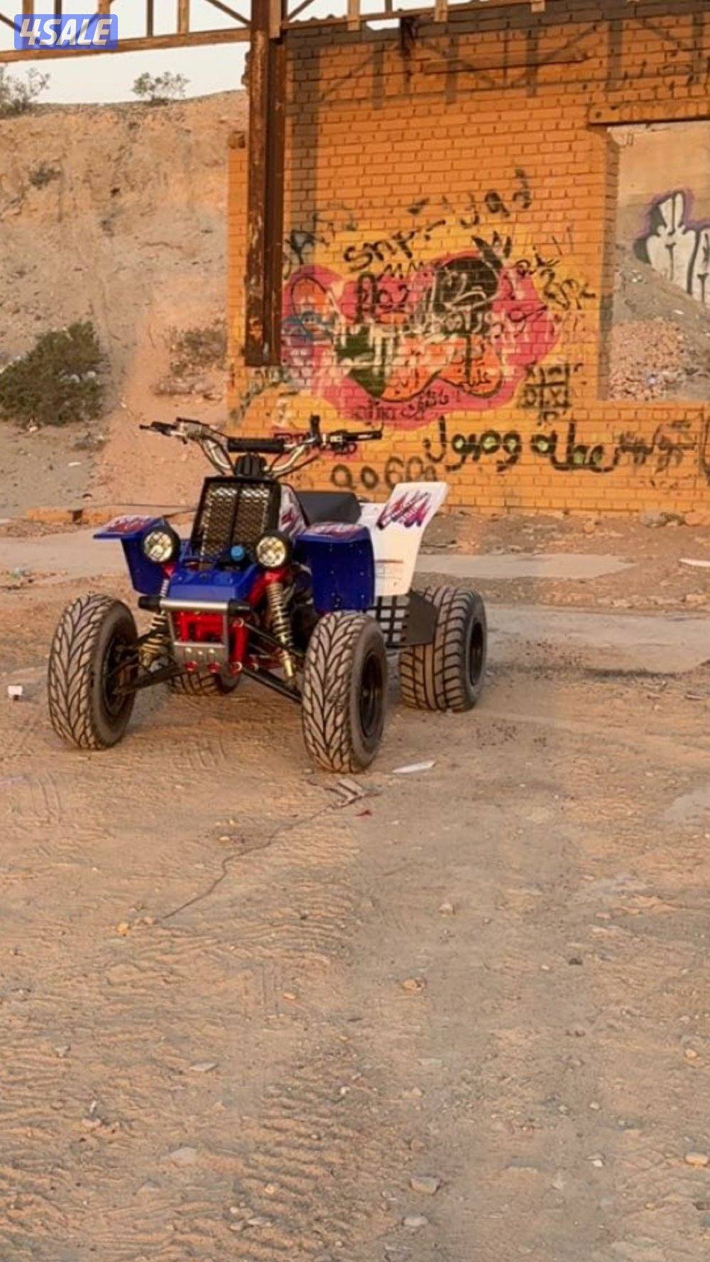 للبيع بانشي 20101