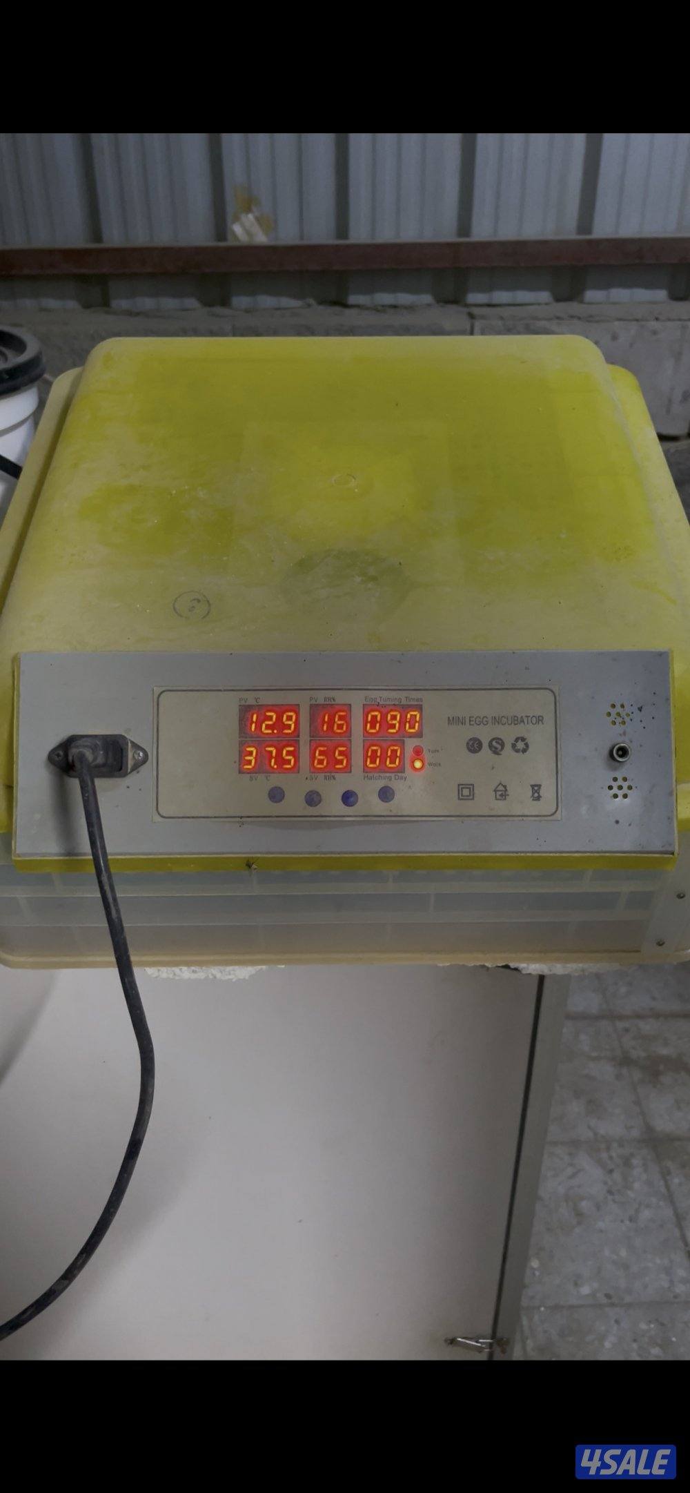 للبيع ٤ فغايات ٢ صيني ٦٠ بيظه شقالين و٢ ابو يوسف باكستاني خربانين0