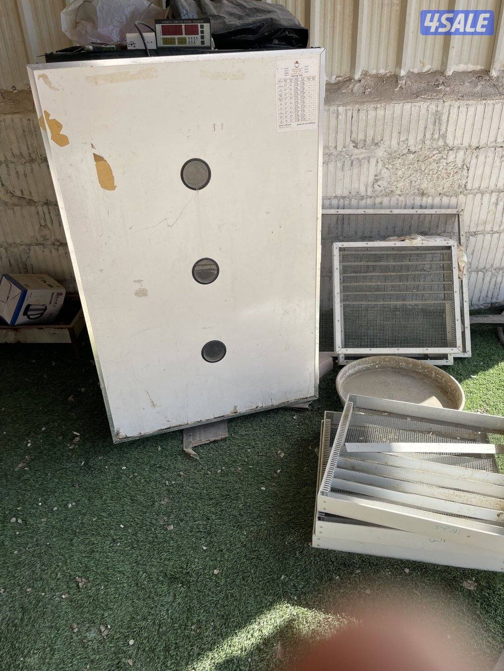 للبيع ٤ فغايات ٢ صيني ٦٠ بيظه شقالين و٢ ابو يوسف باكستاني خربانين1