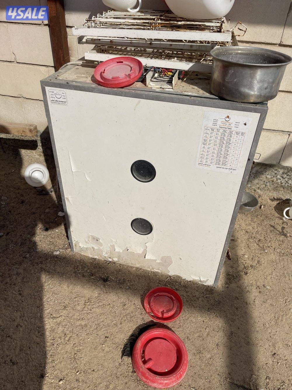 للبيع ٤ فغايات ٢ صيني ٦٠ بيظه شقالين و٢ ابو يوسف باكستاني خربانين2