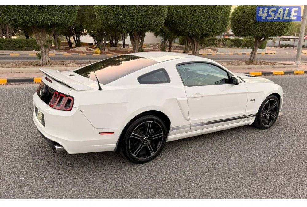 سبشل كلفورنيا2