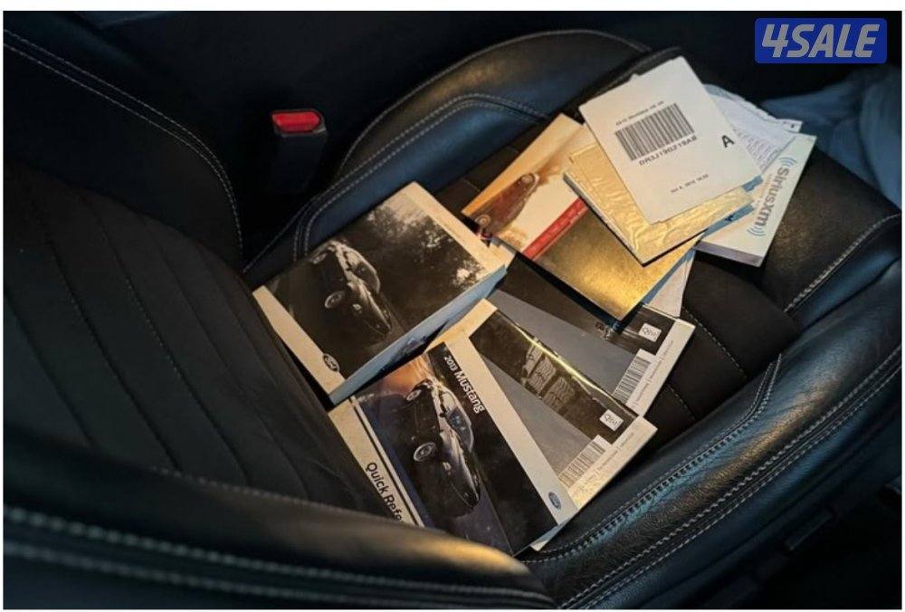 سبشل كلفورنيا6