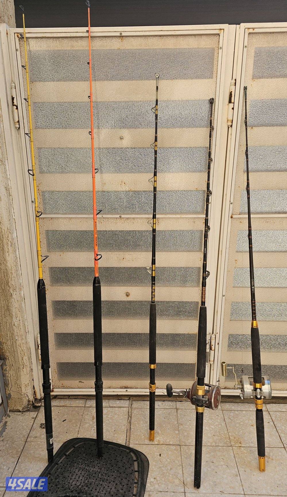 سنانير تشخيط0