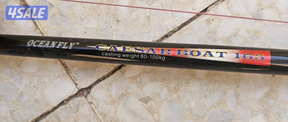 سنانير تشخيط1