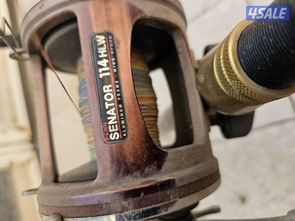 سنانير تشخيط4