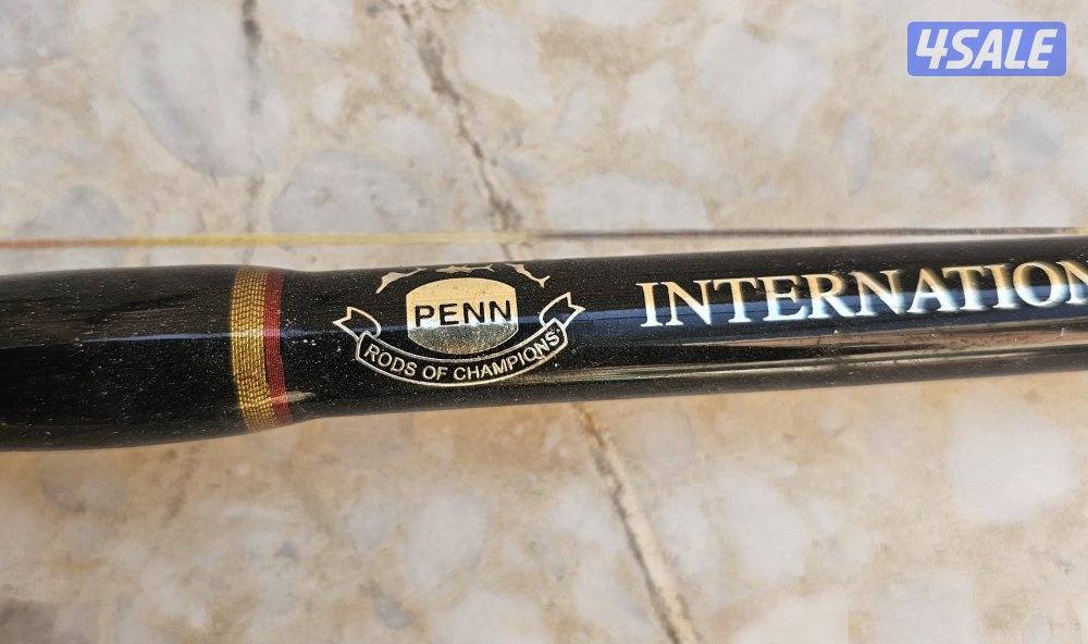 سنانير تشخيط5