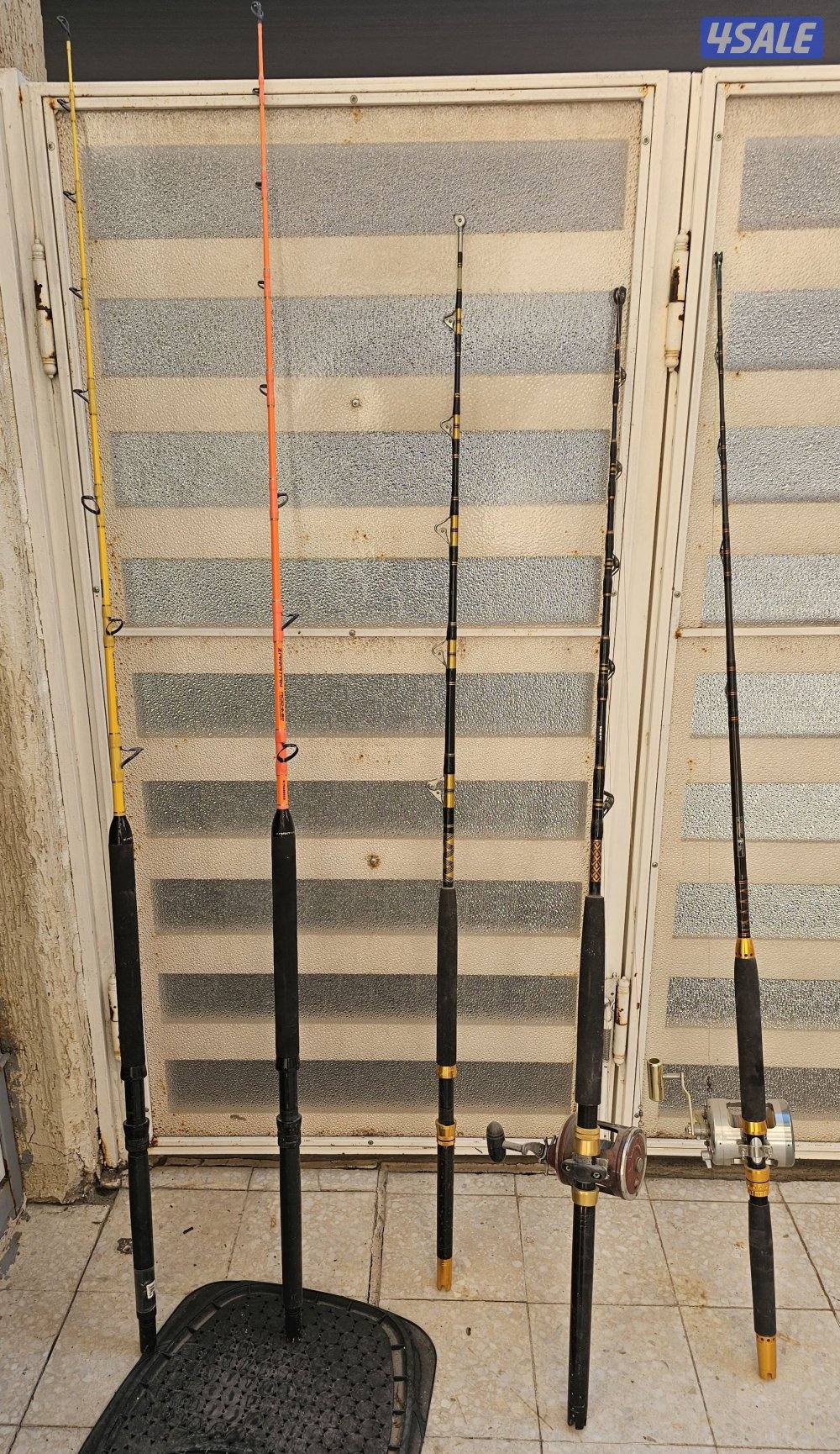 سنانير تشخيط10