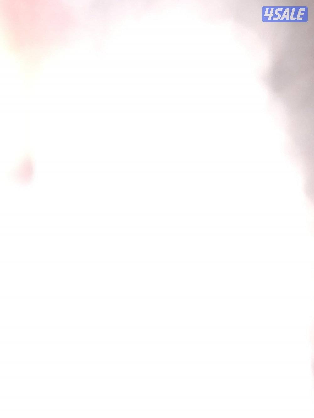 للبيع فحل نجدي طيب ينسف على اليد0