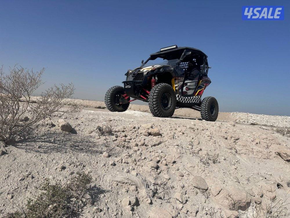 كانام 2013 Can-am0