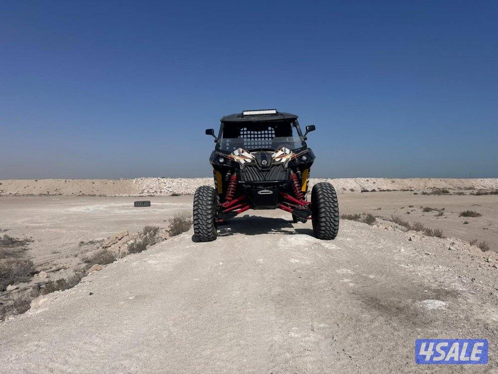 كانام 2013 Can-am1