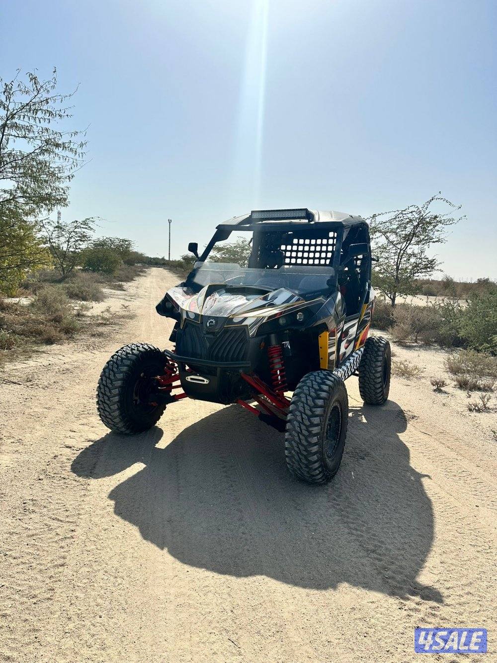 كانام 2013 Can-am2