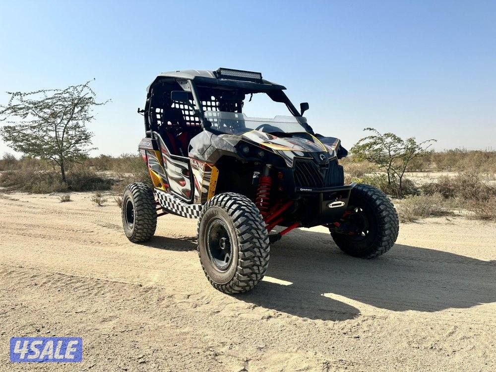 كانام 2013 Can-am3