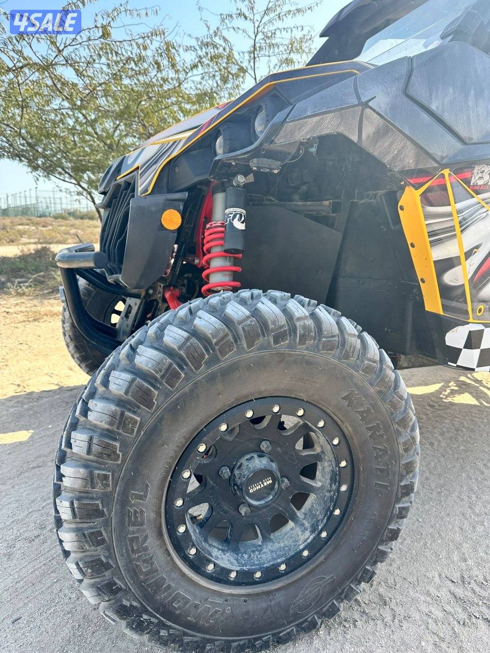 كانام 2013 Can-am6