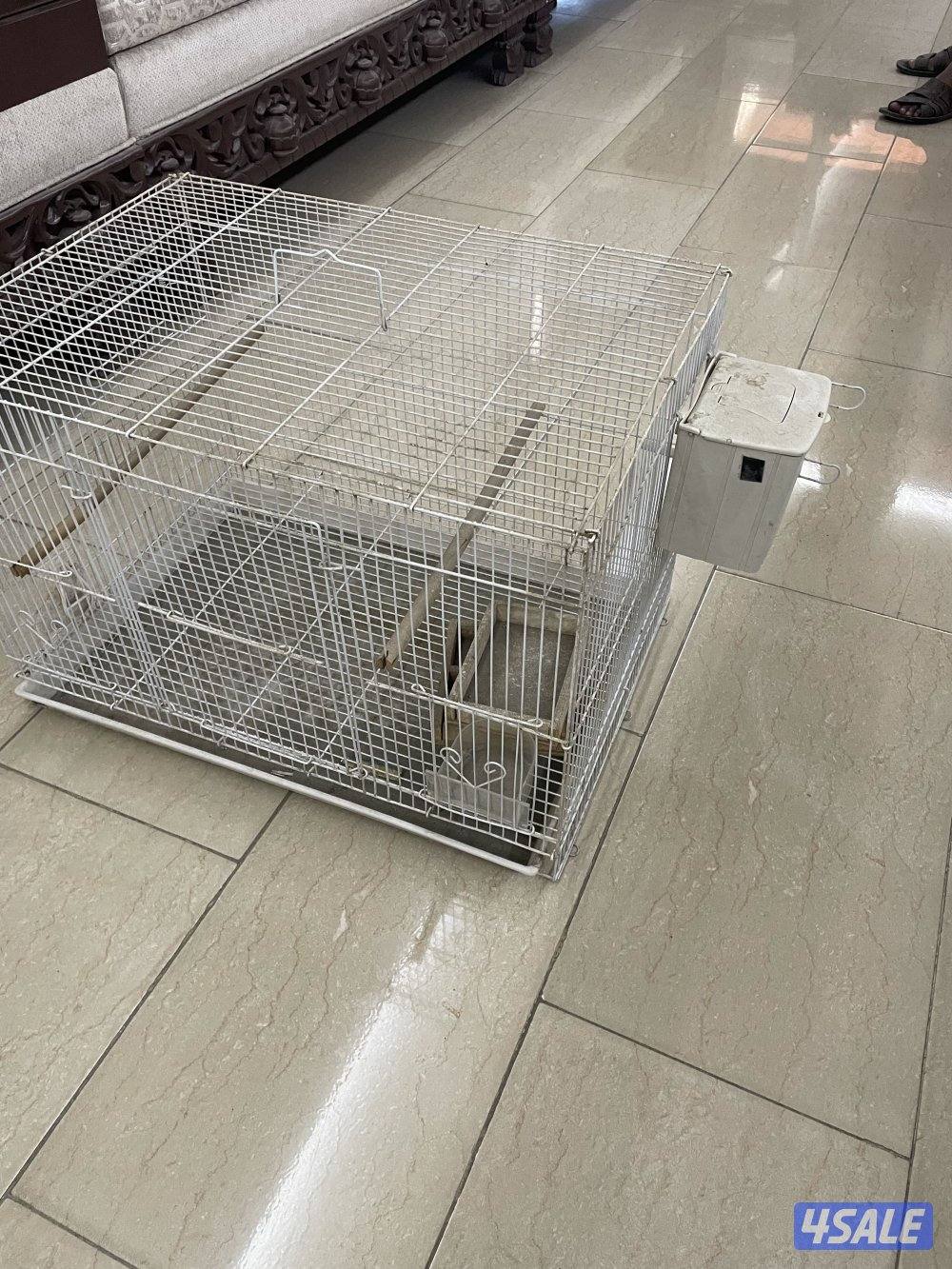 قفص للطيور مقاس ٦٠/٤٠ مع حافظة  للبيض1