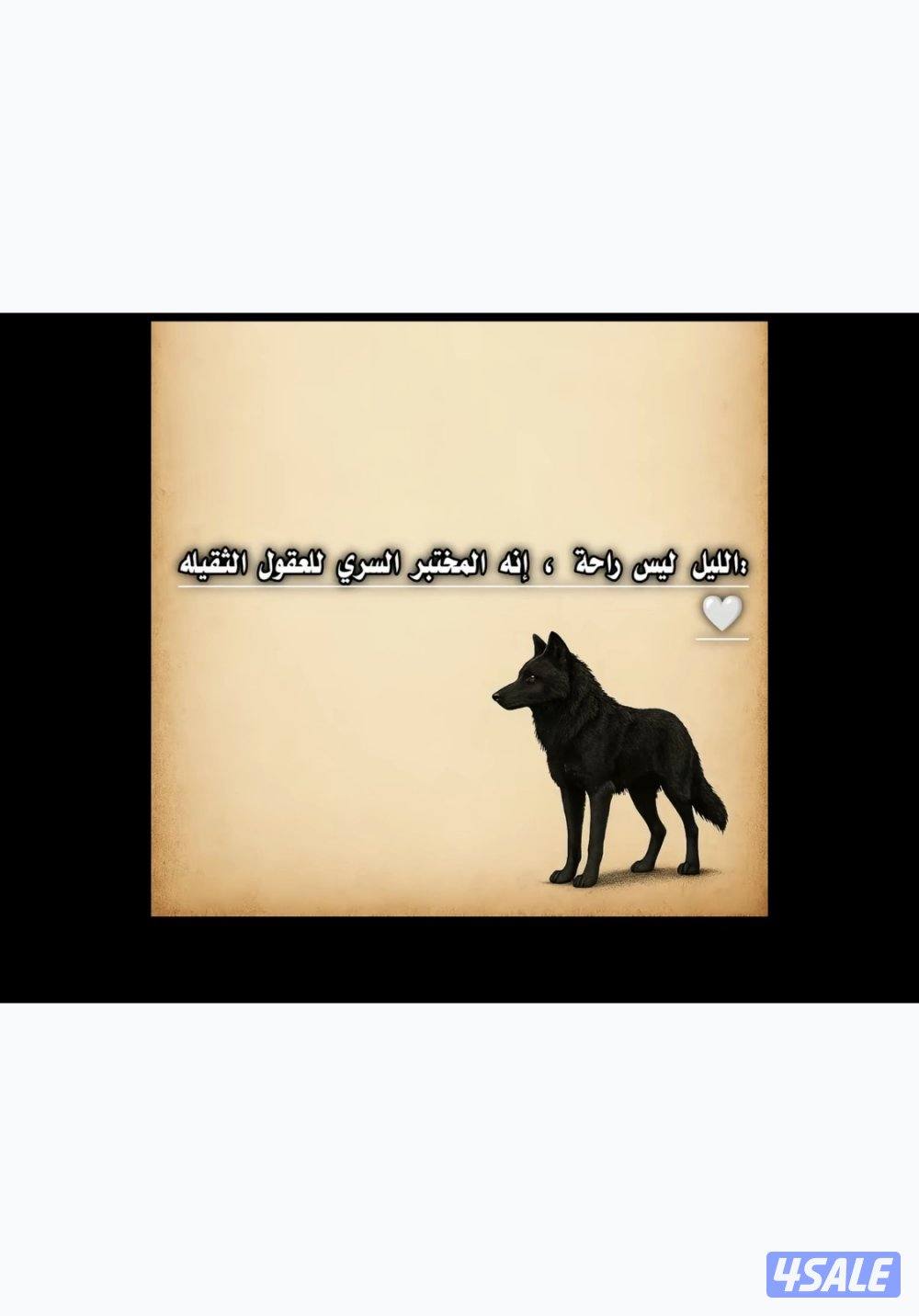 ابحث عن عمل حارس او اداره املاك الغير0