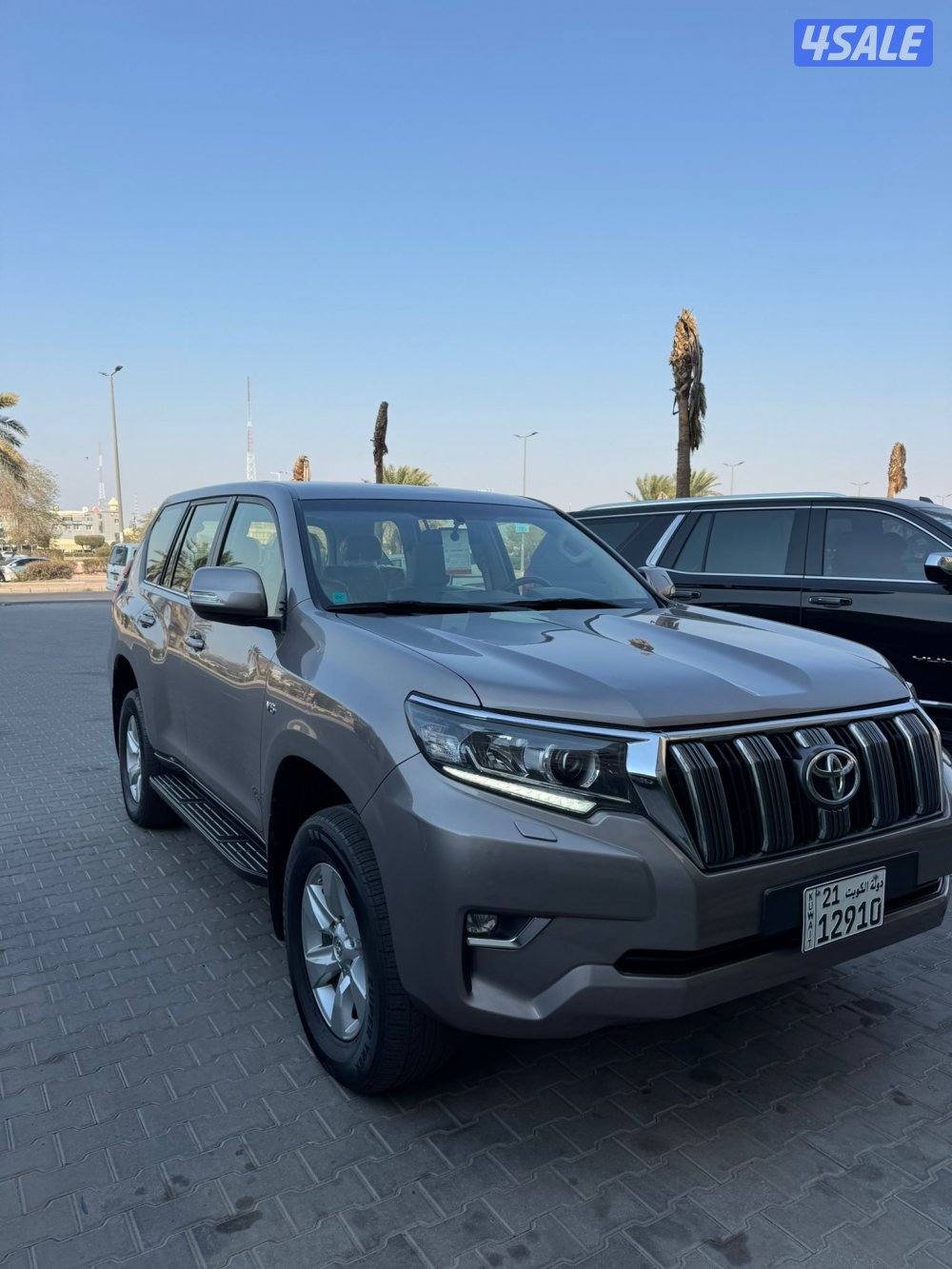 بحالة الوكالة3