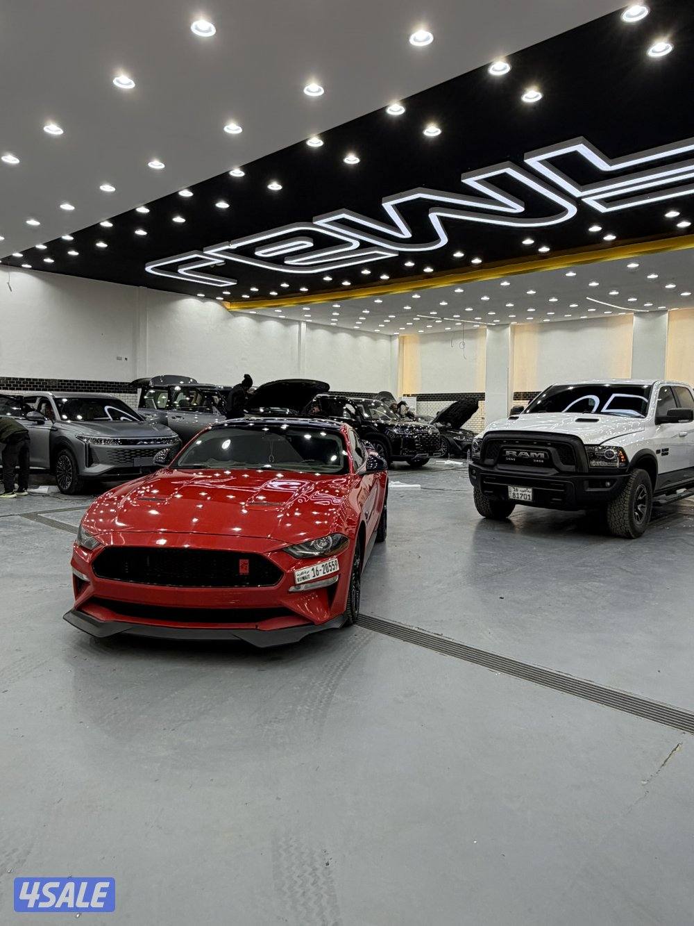 موستنق GT 20181