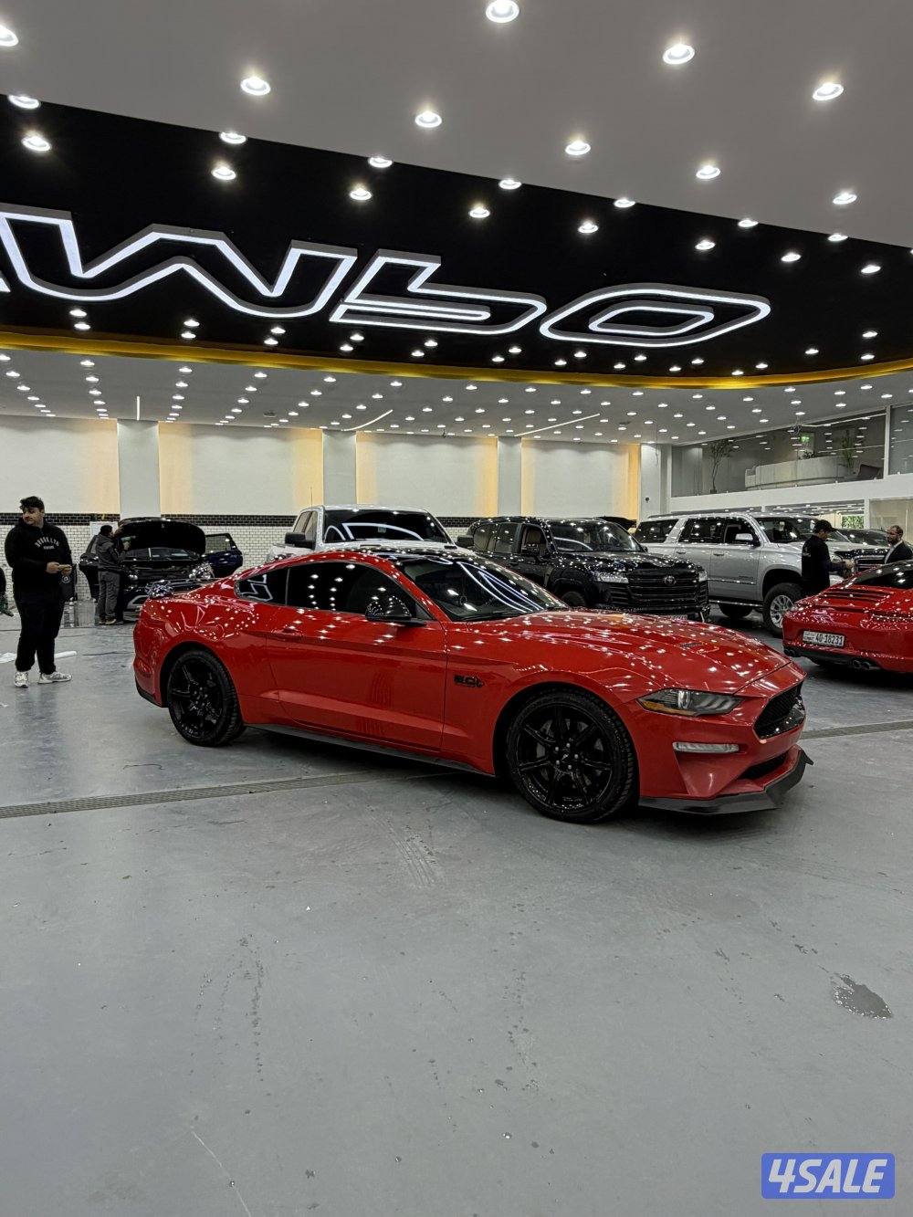 موستنق GT 20184