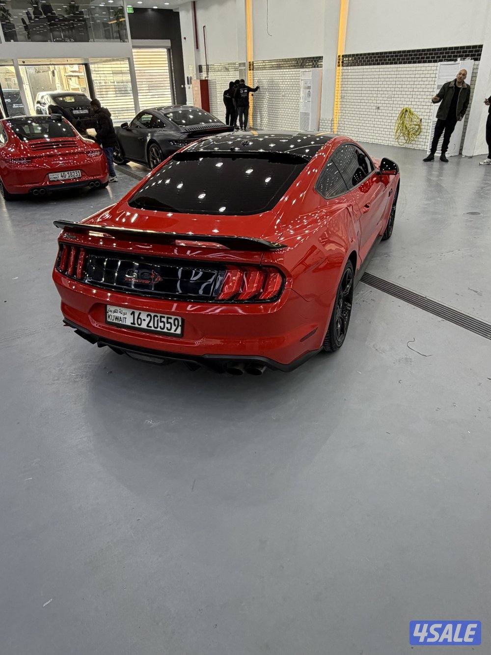 موستنق GT 20185