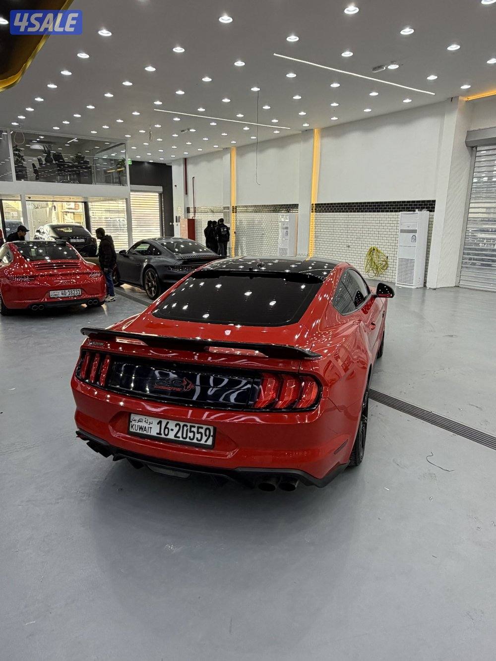 موستنق GT 20186