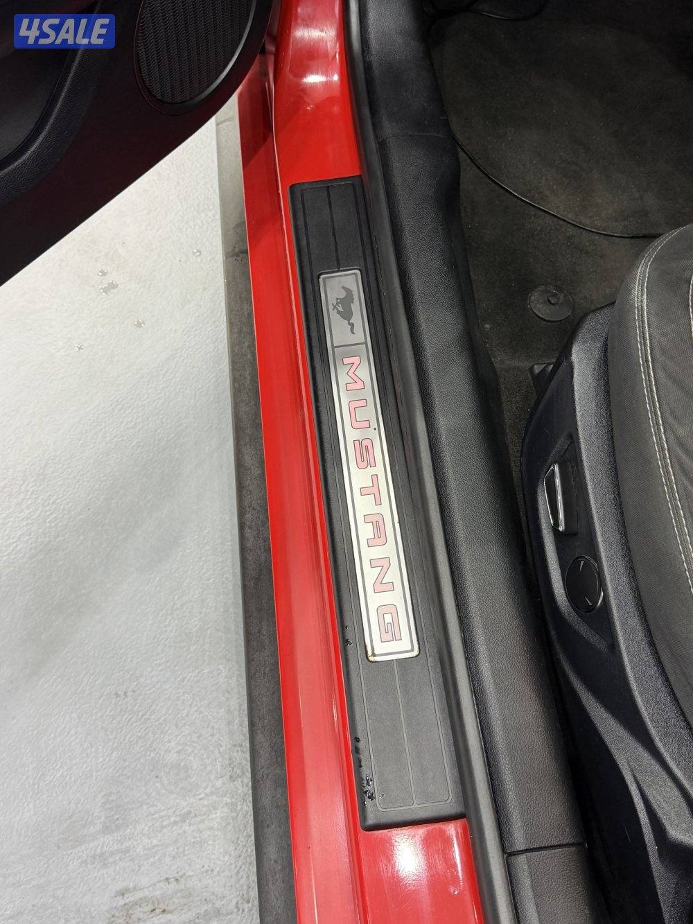 موستنق GT 20189