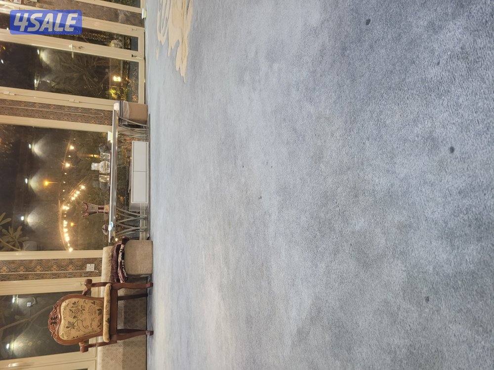 "أنا مهتم بالعمل في ديونيا."1