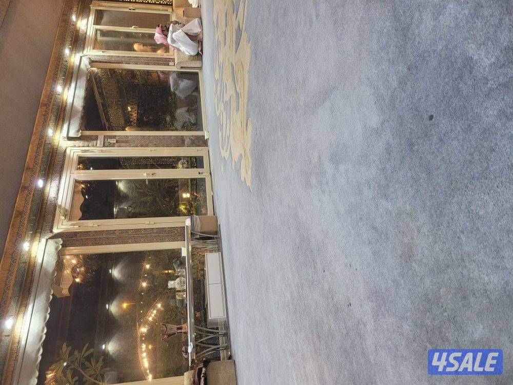 "أنا مهتم بالعمل في ديونيا."2