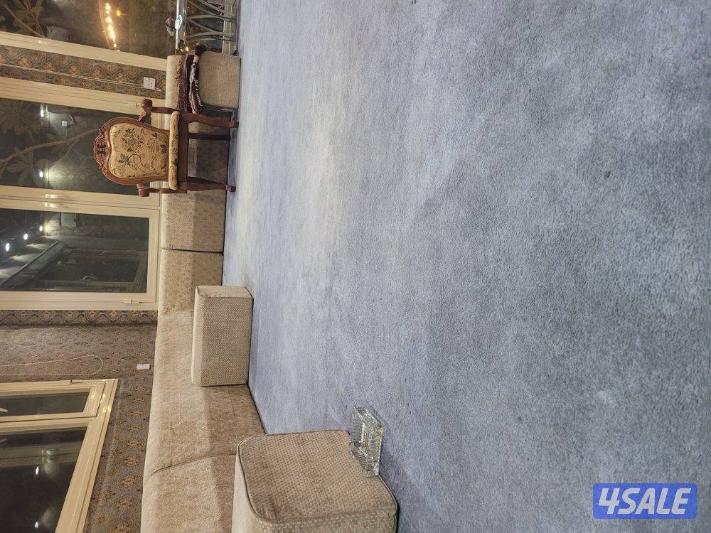 "أنا مهتم بالعمل في ديونيا."4