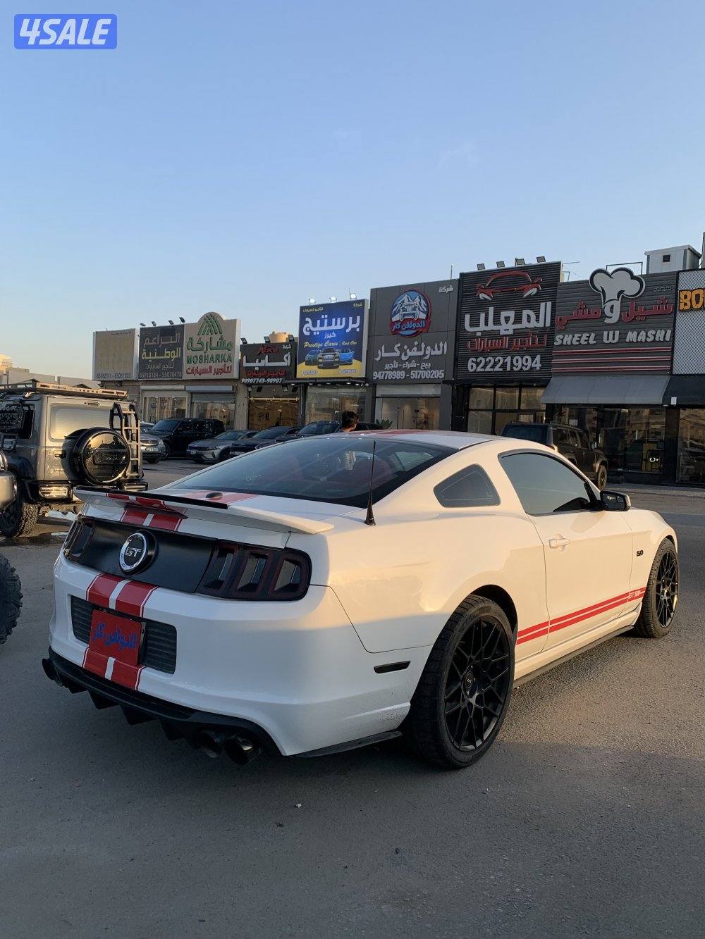 فورد موستانج 5.03