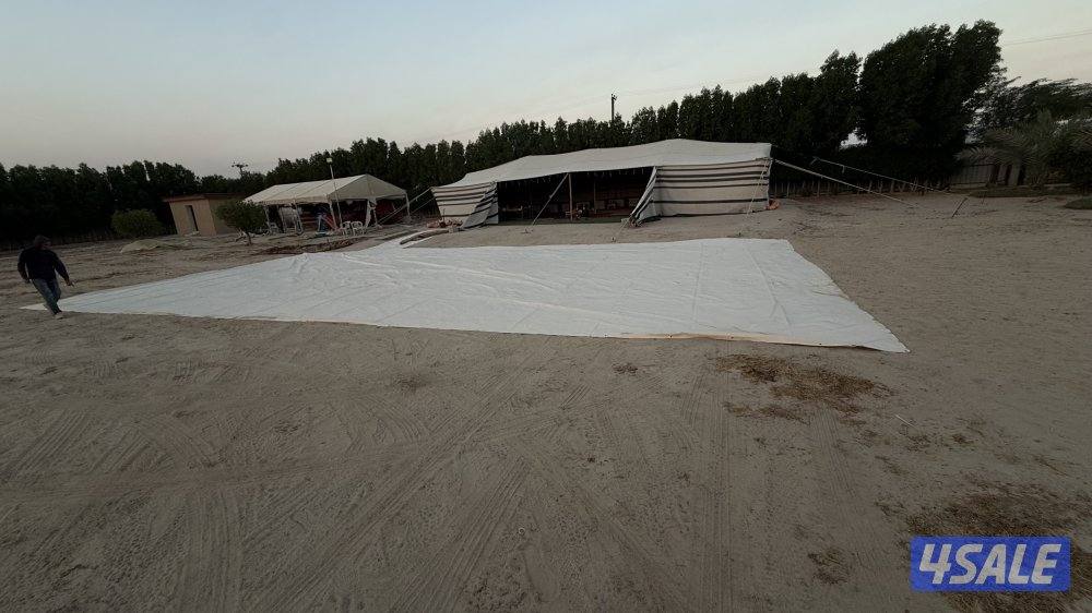 بيت شعر ابيض١٦/٧ مع الفرش كامل وطربال بي بي سي2