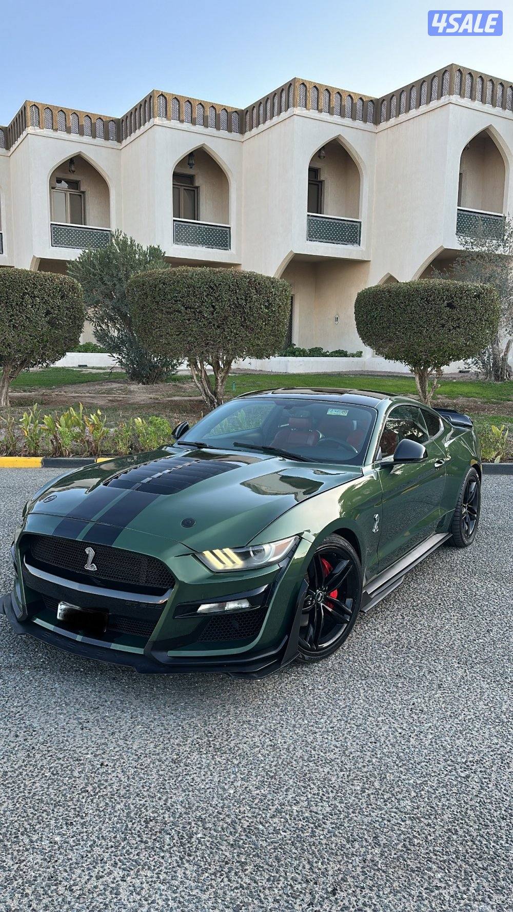 موستنج 5.0 قير عادي قمة بلنظافة0