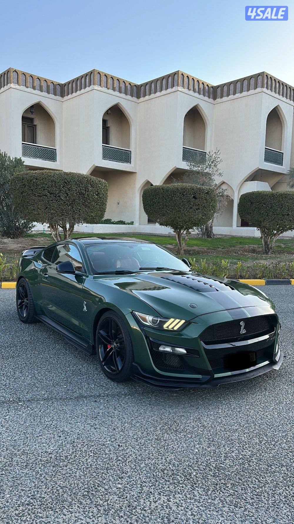 موستنج 5.0 قير عادي قمة بلنظافة3