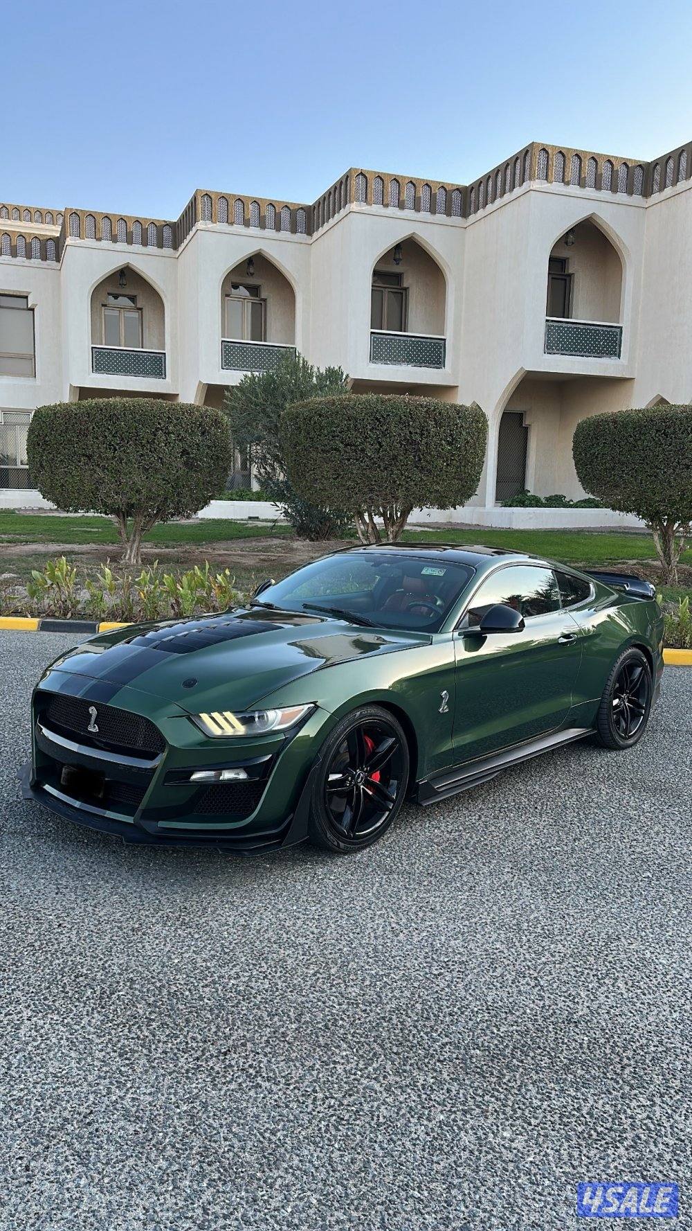 موستنج 5.0 قير عادي قمة بلنظافة4