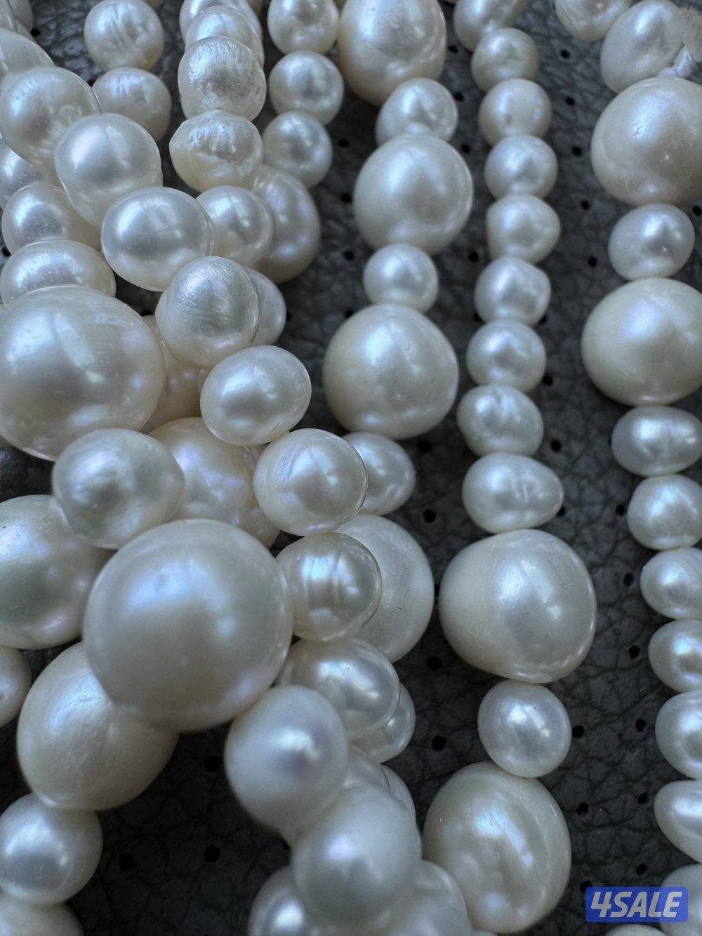 للبيع عقدين لولو طبيعي زراعي2